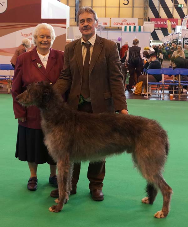 BOB Crufts 2014